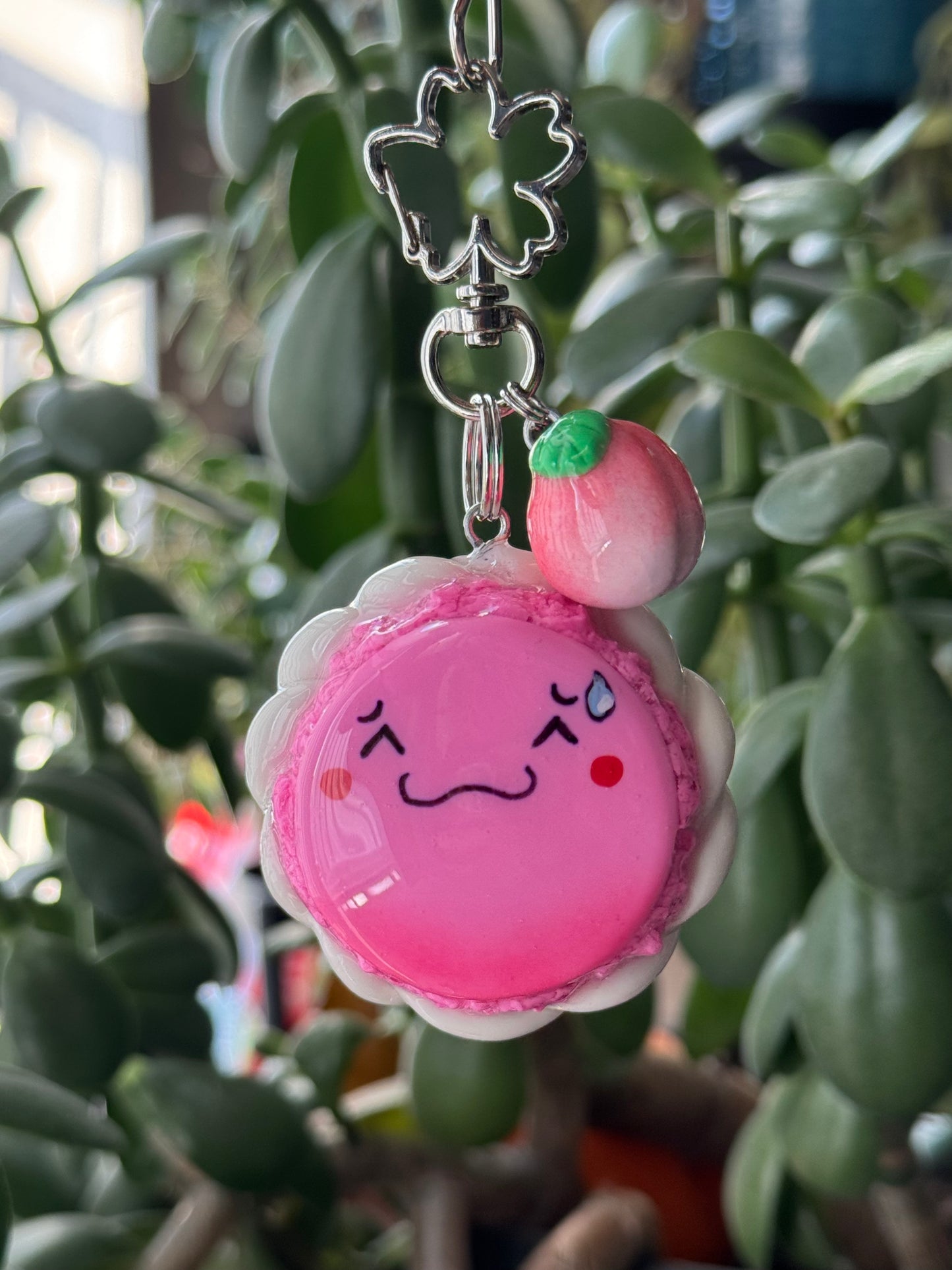 Pink Peach Macaron