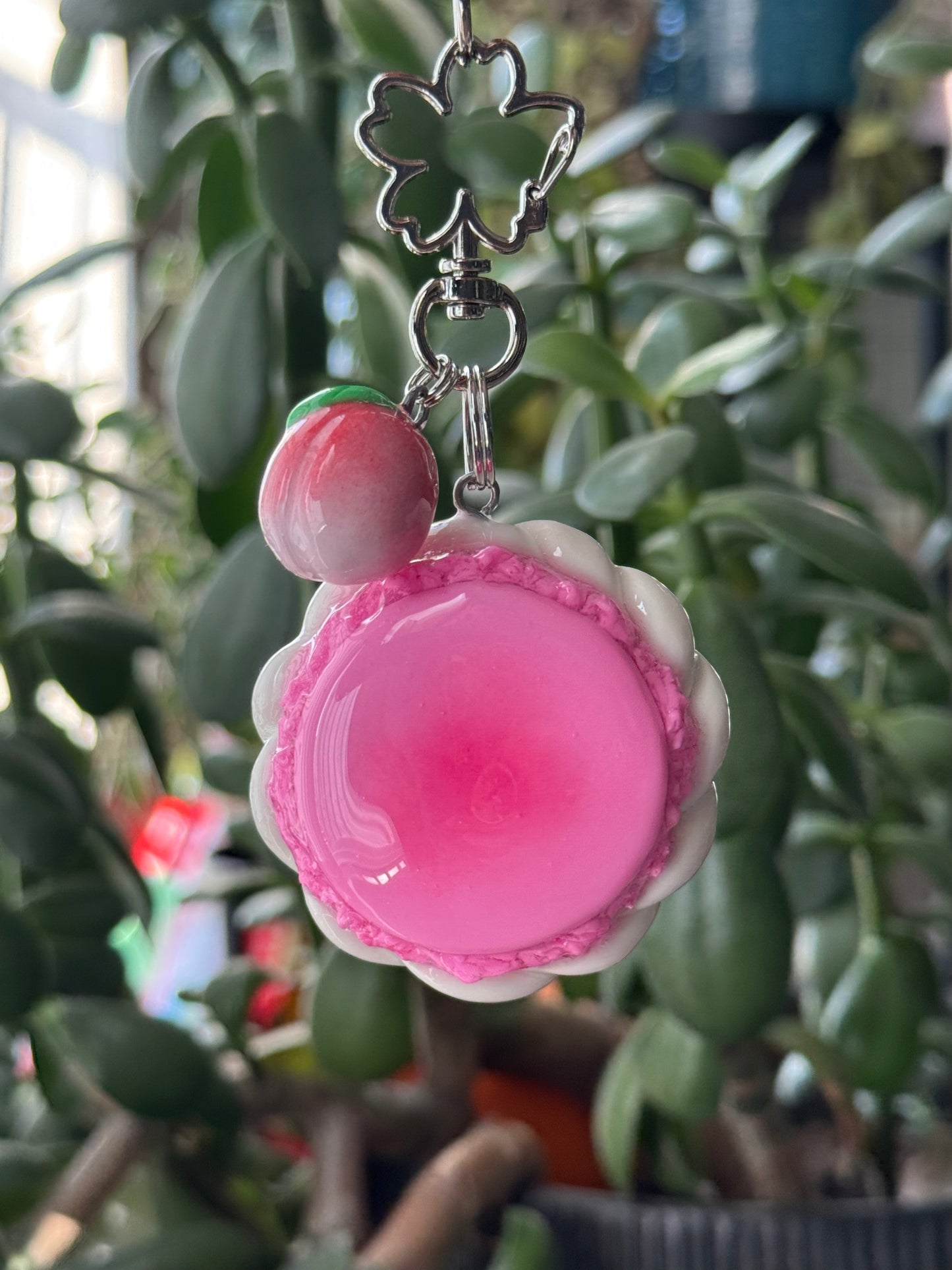 Pink Peach Macaron