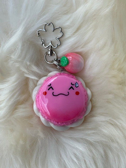 Pink Peach Macaron